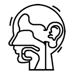 Ear Nose and Throat